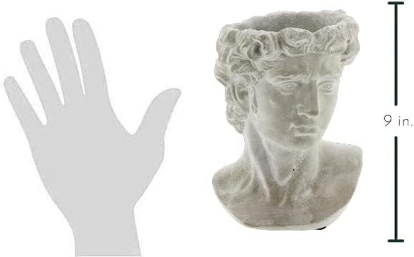 Greek Statue Head Cement Planter - Unique Sculpture Plant Pot for Indoor Outdoor Home Garden Decor (9")