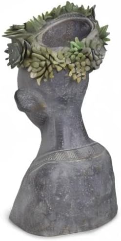 Newman House Studio Face Cactus Succulents Planter Pot - Indoor Outdoor Planter with Drainage Hole Garden Statues Cute Plants Pot Flower Pot Farmhouse Decor 11 * 8.5 * 16.5 inch