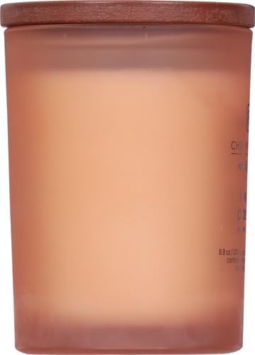 Chesapeake Bay Candle PT31905 Scented Candle, Love + Passion (Grapefruit Mango), Medium, Home Décor