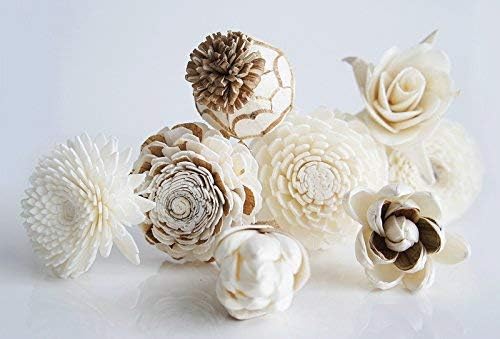 8 Mixed Sola Flower Reed Diffuser by Plawanature.