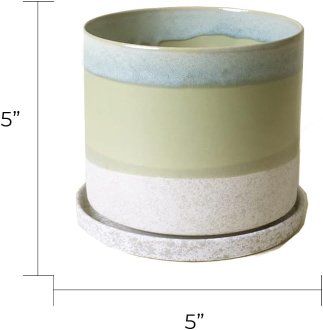 CHIVE ‘Minute’ Ceramic Planter Pot — Cute 5” Colorful Succulent Pots for Indoor & Outdoor House Plants — Beautiful Modern Farmhouse Kitchen Decor — Green Cement