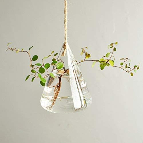 Glass Propagation Station Wall Hanging Glass Planters Wall Flower Vases Glass Terrariums Glass Plant Hanger Wall Vases 3 Pieces Indoor Hydroponic Decor