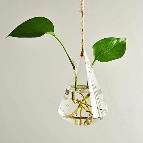 Glass Propagation Station Wall Hanging Glass Planters Wall Flower Vases Glass Terrariums Glass Plant Hanger Wall Vases 3 Pieces Indoor Hydroponic Decor