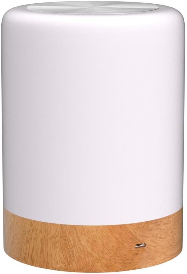Night Light, Touch Lamp for Bedrooms Living Room Portable Table Bedside Lamps with Rechargeable Internal Battery Dimmable 2800K-3100K Warm White Light & Color Changing RGB (Regular Size)…