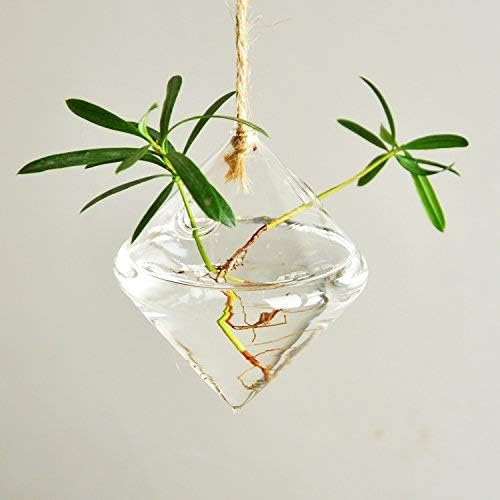 Glass Propagation Station Wall Hanging Glass Planters Wall Flower Vases Glass Terrariums Glass Plant Hanger Wall Vases 3 Pieces Indoor Hydroponic Decor
