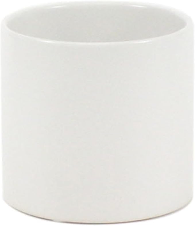WGVI Matte White Ceramic Cylinder Vase Width 5.5" Height 5", Flower Arrangements, Candle Holder, Terrarium Planter Pot, Storage Container Organizer, Pen Brush Holder, Home Tabletop Decor, 1 Piece