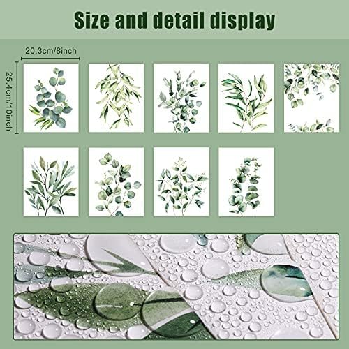 Zonon 9 Pcs Botanical Plant Wall Prints Eucalyptus Wall Decor, 10" x 8" Boho Sage Green Leaves Decoration Posters, Unframed Minimalist Art Prints for Bathroom Living Bedroom Kitchen