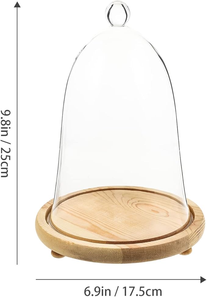 EXCEART Clear Glass Dome Cloche with Rustic Wooden Base Antique Bell Jar Display Dome for Plants Succulents Fairy Lights Photos Medals Decorative Fill and More Light Brown