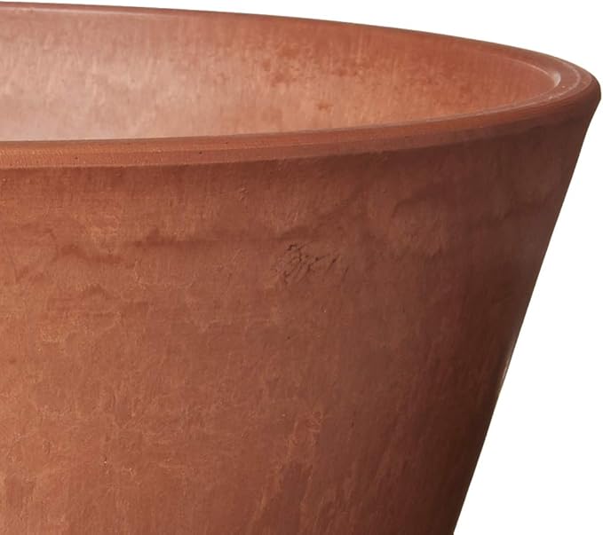 PSW Pot TD25TC Collection Shallow Bulb Pan Planter for Succulents, Bonsai, Fairy Gardens, Herbs, 10-inch, Terra Cotta Color