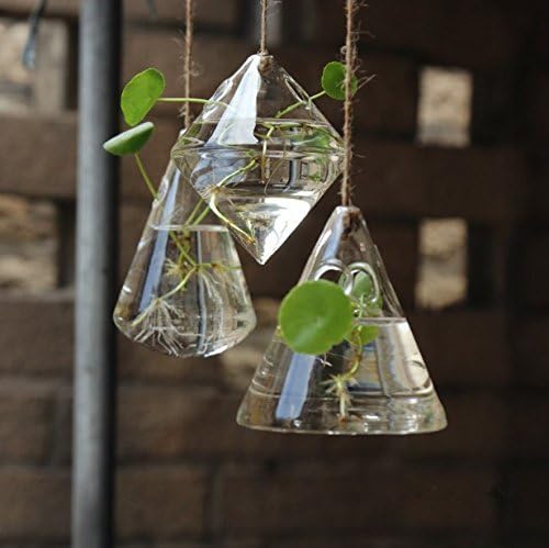 Glass Propagation Station Wall Hanging Glass Planters Wall Flower Vases Glass Terrariums Glass Plant Hanger Wall Vases 3 Pieces Indoor Hydroponic Decor