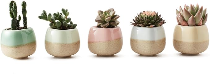 SUN-E 5 in Set 2.2 Inch Container Planter Ceramic Flowing Glaze Five Color Base Serial Set Succulent Plant Pot Cactus Plant Pot Flower Pot Idea