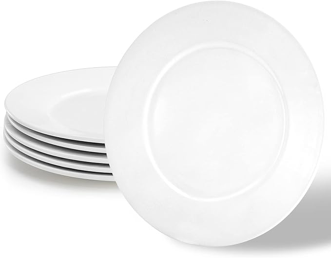 Foraineam White Dinner Plates Set, 10 Inch Porcelain Dessert Salad Plate, Catering Round Serving Dishes Dinnerware Sets, Microwave, Oven, and Dishwasher Safe, Set of 6