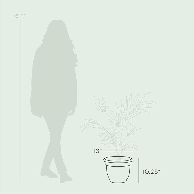 Bloem Ariana Self Watering Planter: 12" - Pebble Stone - Durable Resin Pot, for Indoor and Outdoor Use, Self Watering Disk Included, Gardening, 3 Gallon Capacity