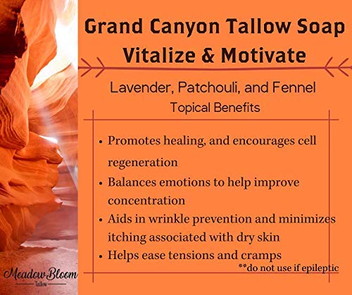 EST'D 2004 HC EST'D 2004 HC Meadow Bloom Tallow Bar Soap - Fennel & Clay 2 Pack - Made with All Natural 100% Grass Fed Tallow Handmade Soap Bar - Great for Face or Body Soap