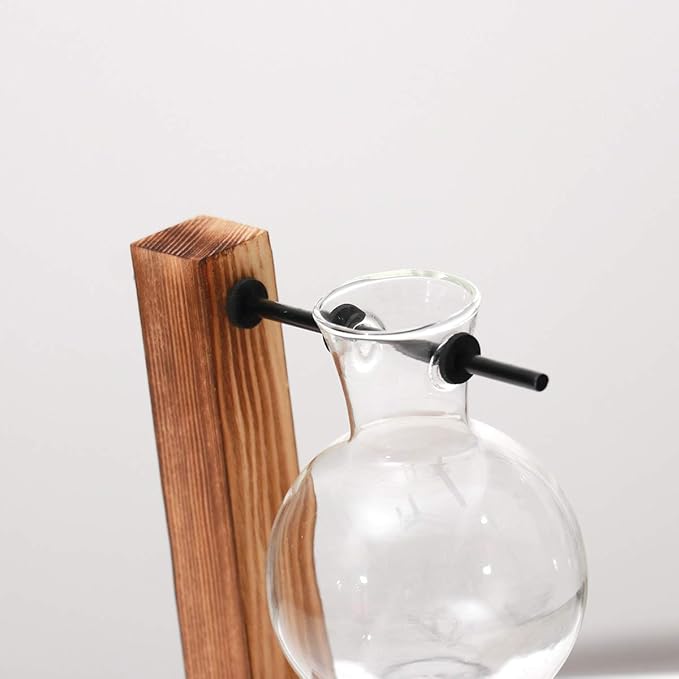 Kingbuy Retro Glass Bulb Vase for Plant Propagation - Hydroponic Planter with Wooden Stand, Indoor Water Propagation Station, Desktop Terrarium Glass Planter for Home Garden Plants (2 Bulb Vases