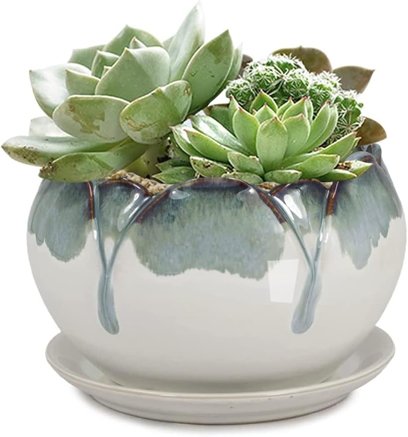 Dahlia 5.5'' Inch Rustic Drip Glazed Ceramic Planter/Succulent Pot/Plant Pot w. Saucer/Tray