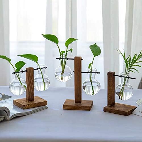 Kingbuy Retro Glass Bulb Vase for Plant Propagation - Hydroponic Planter with Wooden Stand, Indoor Water Propagation Station, Desktop Terrarium Glass Planter for Home Garden Plants (2 Bulb Vases