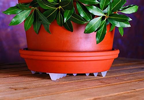 Bosmere Down Under Plant Stand,12",