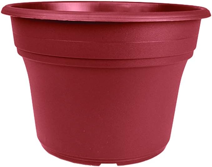 The HC Companies Panterra Round Planter Decorative 12-Inch Plastic Pot Planter for Outdoor Plants, Pairs w/ 12" Clay Panterra Saucer SPN12000E22 | Clay (PA.12000E22)