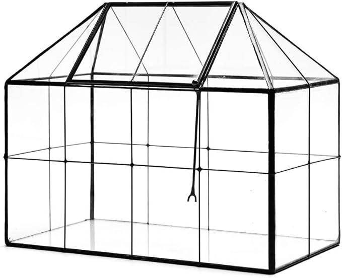 Large Glass Terrarium House Planter – Succulent Plant Terrarium House Shape Glass Greenhouse Terrarium with lid 9.8"X7.9"X5.9" NA