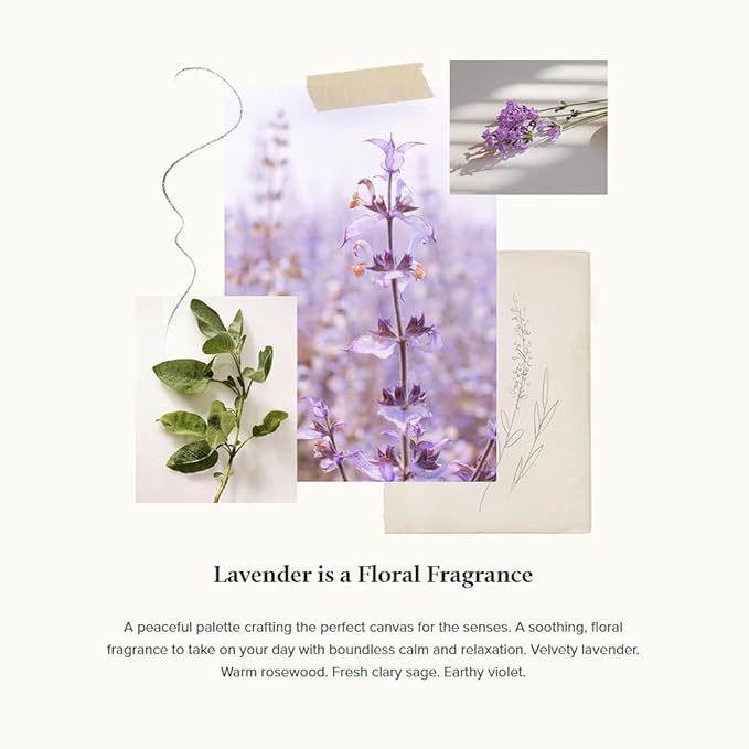 Thymes Bubble Bath - 11.5 Fl Oz - Lavender