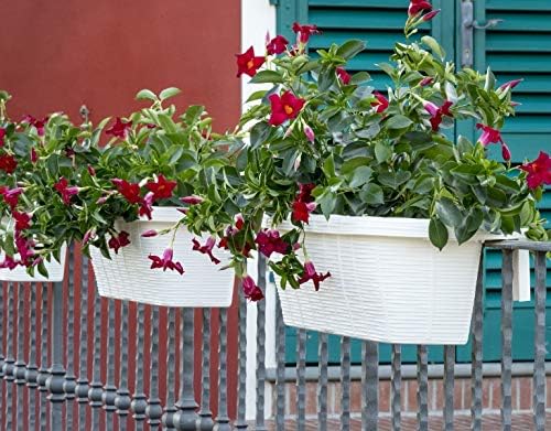 Apollo Exports International AP-30312 23.5" Adjustable Railing Planter, Ratan Look, White