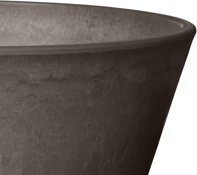PSW Pot TD25DC Collection Shallow Bulb Pan Planter for Succulents, Bonsai, Fairy Gardens, Herbs, 10-inch, Dark Charcoal