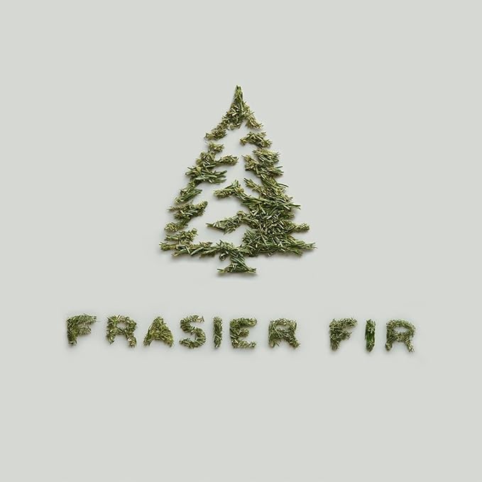 Thymes Frasier Fir Candles - Statement Collection - Silver with Pine Needle Design - Scented Candles for Home Decor - Notes of Siberian Fir Needles, Cedarwood & Sandalwood - Medium Luminary (20 oz)