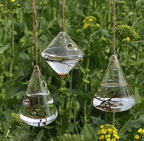 Glass Propagation Station Wall Hanging Glass Planters Wall Flower Vases Glass Terrariums Glass Plant Hanger Wall Vases 3 Pieces Indoor Hydroponic Decor