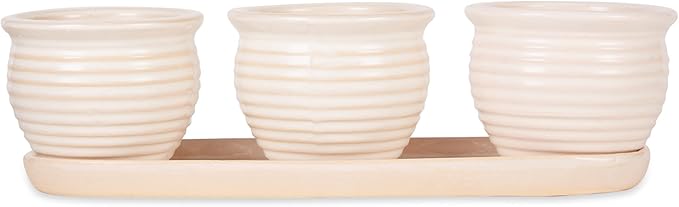 DII Ceramic Planter Collection Herb Pot Set, Cream Round, 13x75x4.5x4