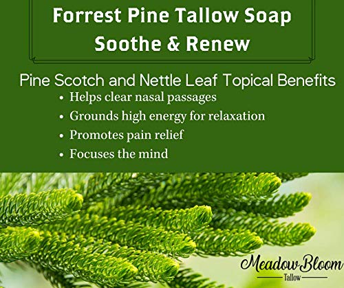 EST'D 2004 HC Meadow Bloom Tallow Bar Soap - Forrest Pine 2 Pack - Made with All Natural 100% Grass Fed Tallow Handmade Soap Bar - Great for Face or Body Soap