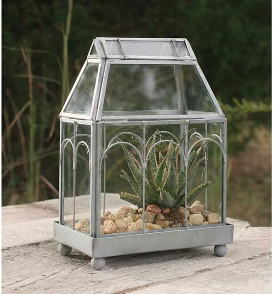 Archway Glass Terrarium, Upgrade. (Clear Glass)