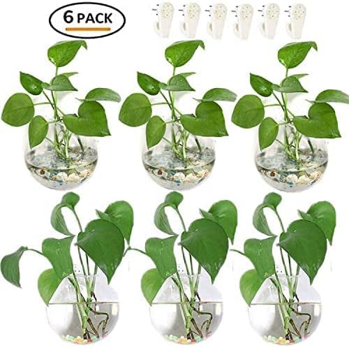 Hanging Wall Planters Pack of 6 Glass Planter Pots Round Glass Flower Vases Hanging Propagation Station Glass Plant Hanger Terrariums Wall Hanging Plant Container