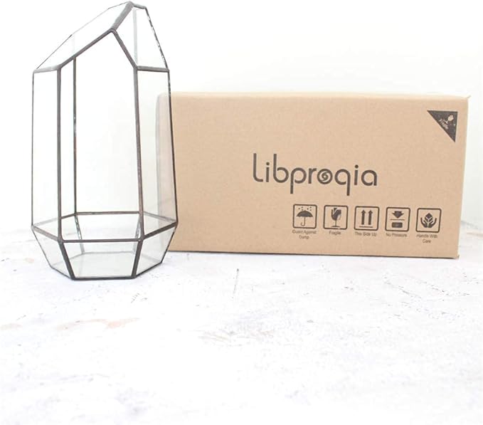 Geometric Glass Terrarium for Indoor Plants,Irregular Clear Planter,Black Opened Container Pot for Cacti,Succulents and Moss,Home Garden Office Tabletop Decor,6.5x5.7x9.8'' No Door