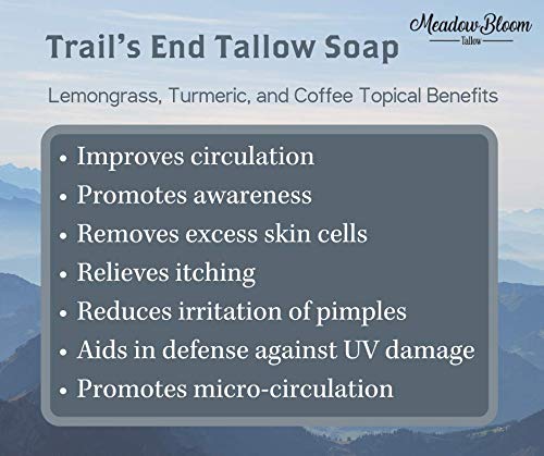 EST'D 2004 HC Meadow Bloom Tallow Bar Soap - Lemongrass, Coffee & Turmeric 2 Pack - Made with All Natural 100% Grass Fed Tallow Handmade Soap Bar - Great for Face or Body Soap