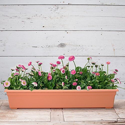 Novelty 16365 Countryside Flower Box Planter, 36-Inch, Terracotta