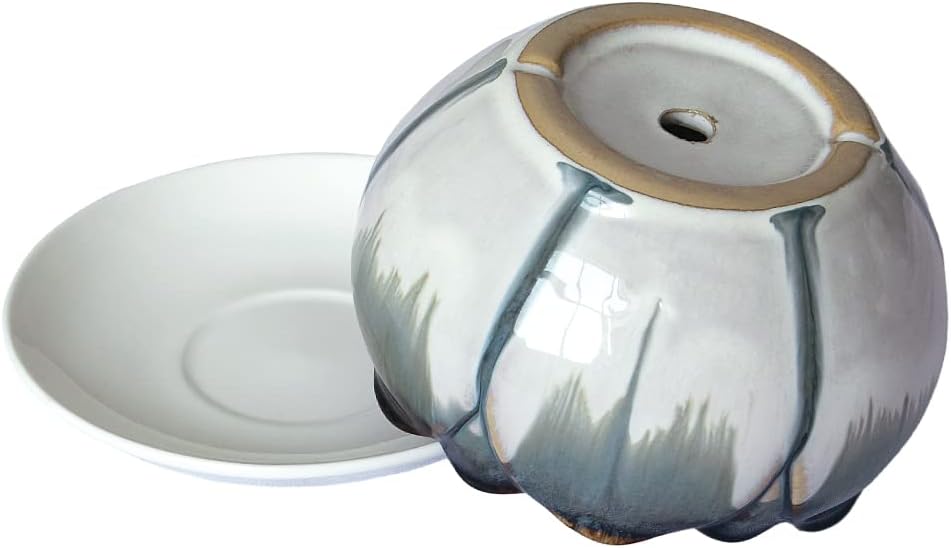 Dahlia 5.5'' Inch Rustic Drip Glazed Ceramic Planter/Succulent Pot/Plant Pot w. Saucer/Tray