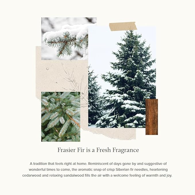 Thymes Frasier Fir Candles - Statement Collection - Silver with Pine Needle Design - Scented Candles for Home Decor - Notes of Siberian Fir Needles, Cedarwood & Sandalwood - Medium Luminary (20 oz)