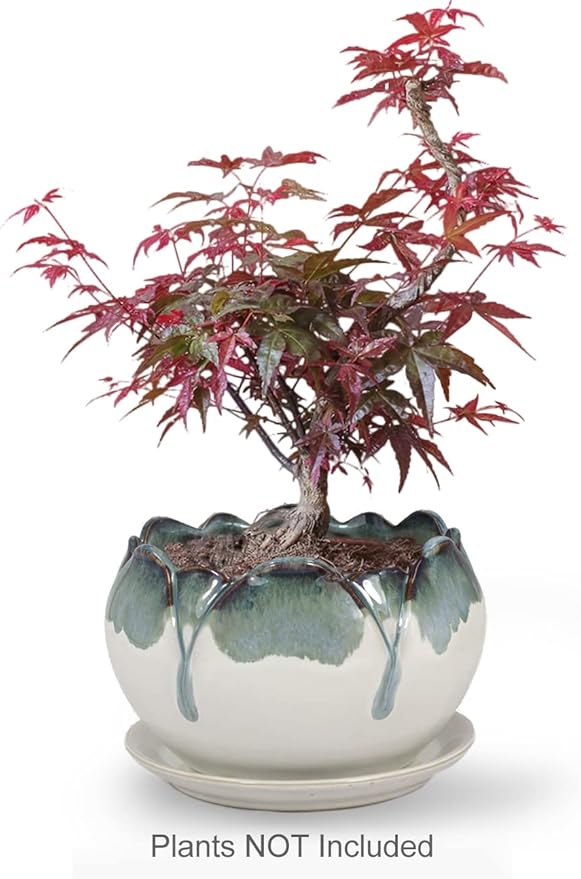 Dahlia 5.5'' Inch Rustic Drip Glazed Ceramic Planter/Succulent Pot/Plant Pot w. Saucer/Tray