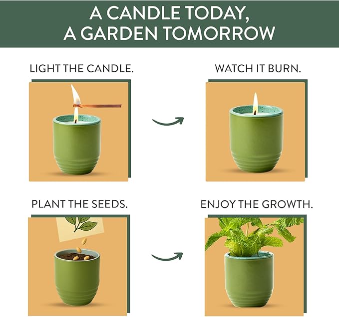 Modern Sprout Garden Vibes 2-in-1 Soy Candle & Planter - 3-Pack Indoor Set (Violet Hour, in The Weeds, Golden Moments) 6 Oz Scented Candles with Lavender, Sage & Mint Seeds – 38–40 Hr Burn Each