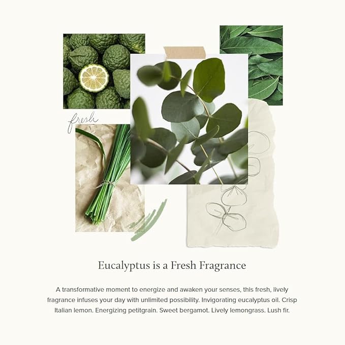Thymes Eucalyptus Bar Soap - 6 Oz
