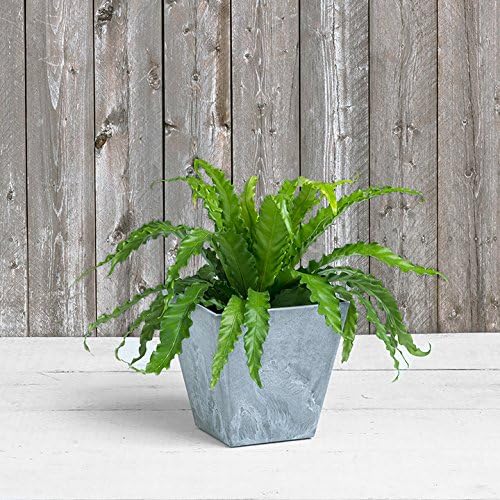 Novelty ArtStone 35100 Ella Square Planter, 10-Inch, Grey
