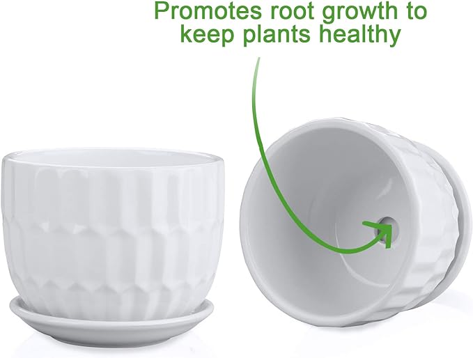 Brajttt Flower Pots, 4 Inch Cylinder Ceramic Plant Pots with Connected Saucer, Mini Ceramic Planters for Succulent and Little Snake Plants (6 Pack, White)