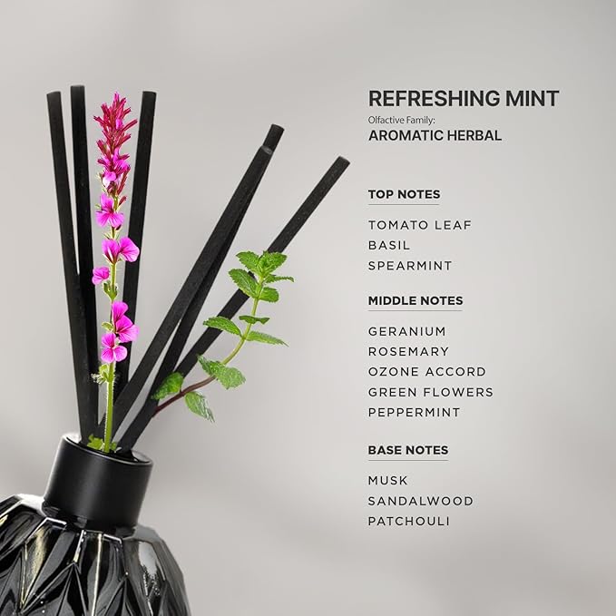 Aromaplan Reed Diffuser, Refreshing Minty Scent Diffuser (8.45 fl oz, 250ml)- Luxury Reed Diffusers Set for Home- Includes Reed Diffuser Sticks & Fragrance Oil in Glass Bottle