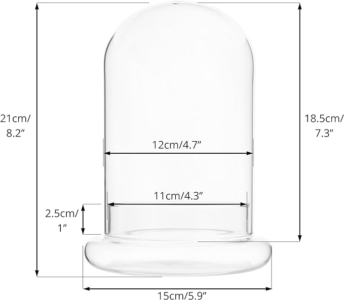 NCYP Glass Cloche Dome with Air Hole and Base, 5.9 x 5.9 x 8.2 Inches, Clear Terrarium Planter for Carnivorous Plants, Small Cactus, Succulents, Venus Flytrap, Tabletop Decoration (No Plants)