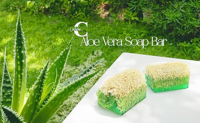 Natural Handmade Aloe Vera Soap Bar With Pumpkin Fiber 120gr | Oil Balance, Dryness, Collagen, Blackheads and Acne, Vitamins C and E, Nourishing, Anti-Aging