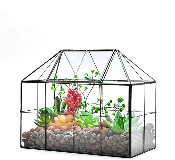 Large Glass Terrarium House Planter – Succulent Plant Terrarium House Shape Glass Greenhouse Terrarium with lid 9.8"X7.9"X5.9" NA