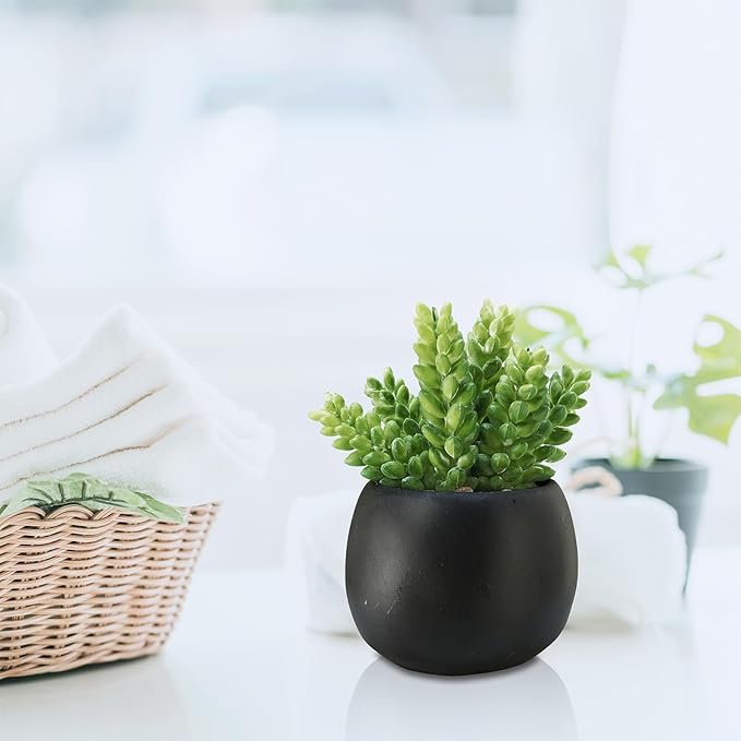 Winlyn Set of 3 Artificial Succulents Plants in Black Cement Planters Faux Potted Plants Aloe String of Pearls Donkey Tail Small House Plants 5" Tall for Table Shelf Home Office Bathroom Living Room