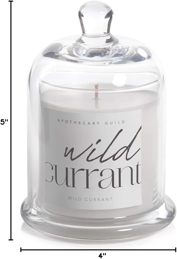 Zodax Wild Currant Apothecary Guild 10 Ounce Scented Jar Candle with Dome