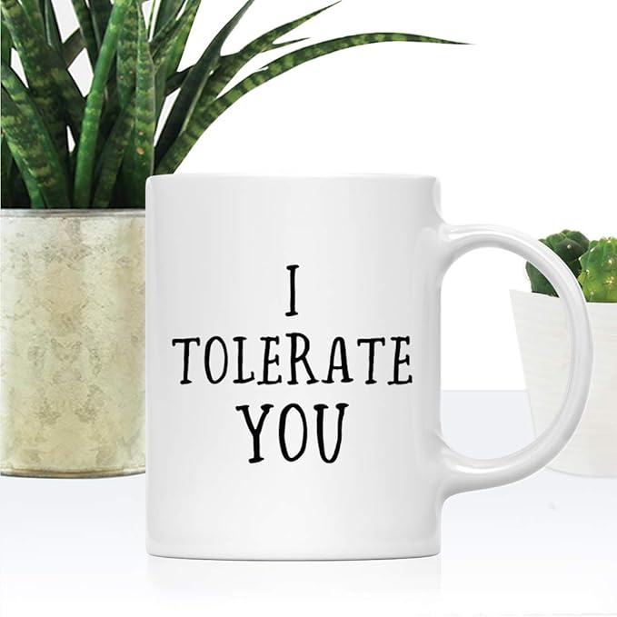 Andaz Press Valentine’s Day Funny 11oz. His Her Couples Coffee Mug Gift, I Tolerate You, 1-Pack, Gift Box
